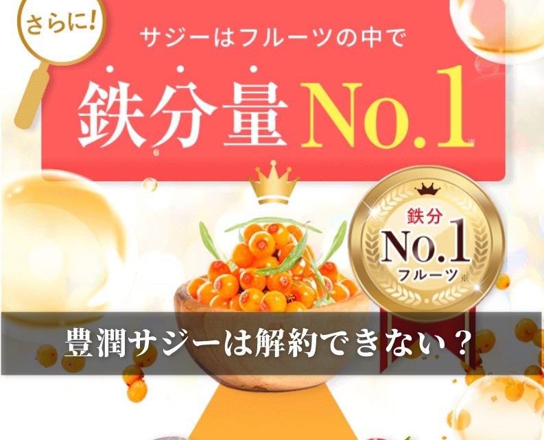 豊潤サジーは解約できない？